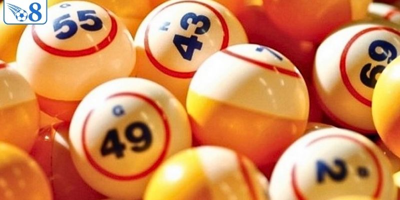 Kinh Nghiệm Nuôi Lô Bạch Thủ - Chiến Thuật Đầu Tư Bền Vững 1 Nuôi lô là hành trình đầu tư đòi hỏi sự kiên nhẫn và chiến lược