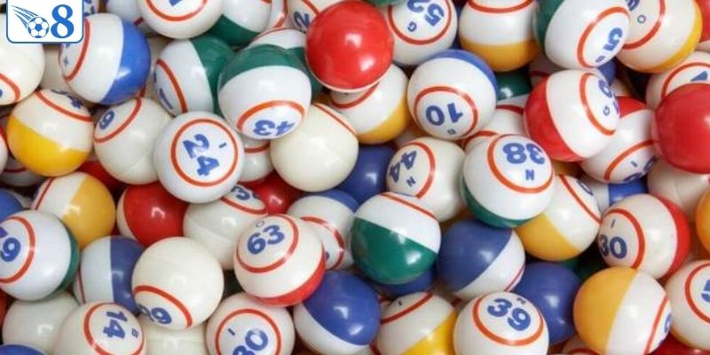 Kinh Nghiệm Nuôi Lô Bạch Thủ - Chiến Thuật Đầu Tư Bền Vững 2 Phân tích kỹ lưỡng trước khi quyết định xuống tiền nuôi khung