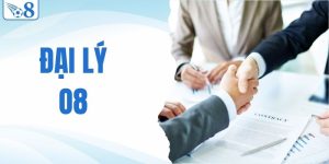 đại lý O8