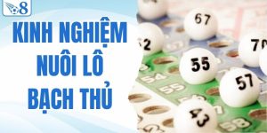 kinh nghiệm nuôi lô bạch thủ
